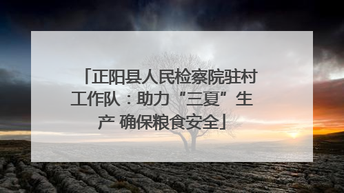 正阳县人民检察院驻村工作队：助力“三夏”生产 确保粮食安全