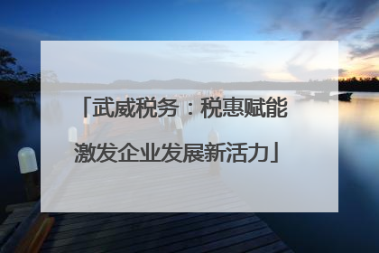 武威税务：税惠赋能 激发企业发展新活力