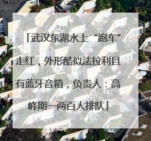 武汉东湖水上“跑车”走红，外形酷似法拉利且有蓝牙音箱，负责人：高峰期一两百人排队