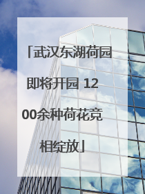 武汉东湖荷园即将开园 1200余种荷花竞相绽放