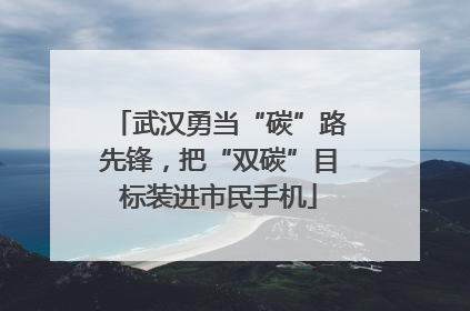 武汉勇当“碳”路先锋，把“双碳”目标装进市民手机