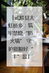 武陟县大虹桥乡：筑牢禁烧“防火墙” 守护夏粮好“丰”景