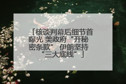 核谈判幕后细节首曝光 美政府“开秘密条款” 伊朗坚持“三大底线”