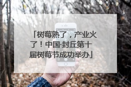 树莓熟了，产业火了！中国·封丘第十届树莓节成功举办