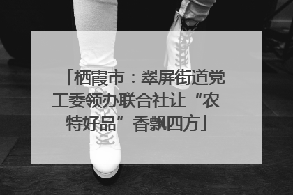 栖霞市：翠屏街道党工委领办联合社让“农特好品”香飘四方