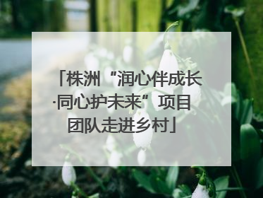 株洲“润心伴成长·同心护未来”项目团队走进乡村
