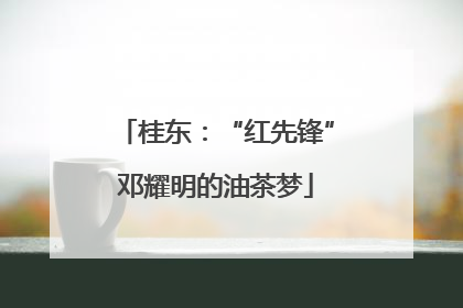 桂东：“红先锋”邓耀明的油茶梦