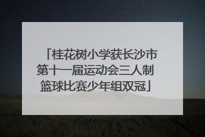 桂花树小学获长沙市第十一届运动会三人制篮球比赛少年组双冠