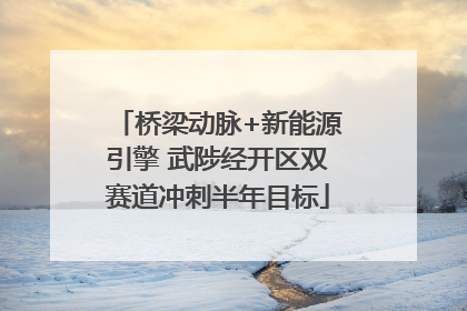 桥梁动脉+新能源引擎 武陟经开区双赛道冲刺半年目标
