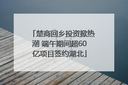 楚商回乡投资掀热潮 端午期间超60亿项目签约湖北