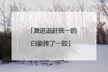 激进追赶统一的白象摔了一跤