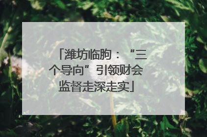 潍坊临朐：“三个导向”引领财会监督走深走实