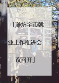 潍坊全市就业工作推进会议召开