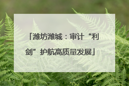 潍坊潍城：审计“利剑”护航高质量发展