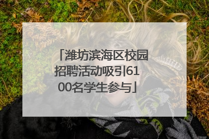 潍坊滨海区校园招聘活动吸引6100名学生参与