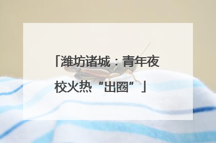 潍坊诸城：青年夜校火热“出圈”
