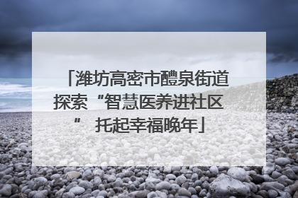 潍坊高密市醴泉街道探索“智慧医养进社区” 托起幸福晚年