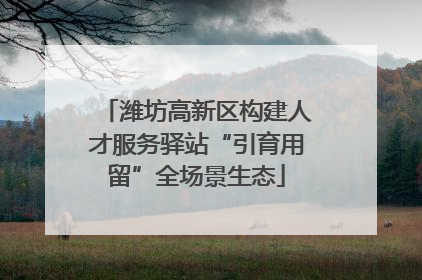 潍坊高新区构建人才服务驿站“引育用留”全场景生态