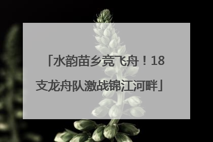 水韵苗乡竞飞舟！18支龙舟队激战锦江河畔
