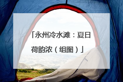 永州冷水滩：夏日荷韵浓（组图）