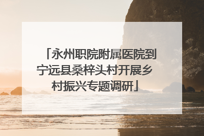 永州职院附属医院到宁远县桑梓头村开展乡村振兴专题调研