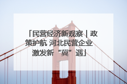 民营经济新观察｜政策护航 河北民营企业激发新“冀”遇