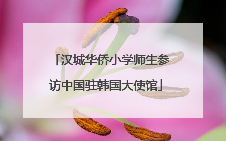 汉城华侨小学师生参访中国驻韩国大使馆