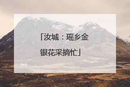 汝城：瑶乡金银花采摘忙