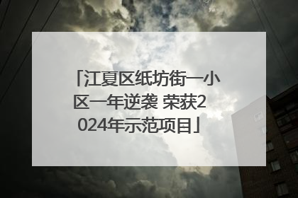 江夏区纸坊街一小区一年逆袭 荣获2024年示范项目