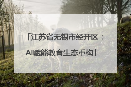 江苏省无锡市经开区：AI赋能教育生态重构