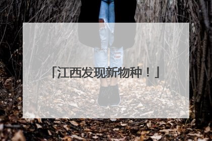 江西发现新物种！