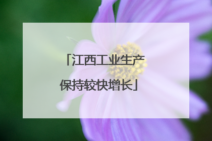 江西工业生产保持较快增长