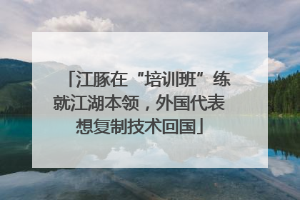 江豚在“培训班”练就江湖本领，外国代表想复制技术回国