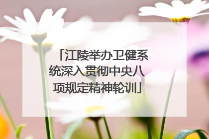 江陵举办卫健系统深入贯彻中央八项规定精神轮训