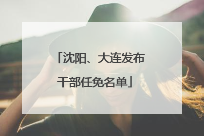 沈阳、大连发布干部任免名单