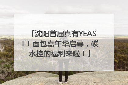 沈阳首届真有YEAST！面包嘉年华启幕，碳水控的福利来啦！