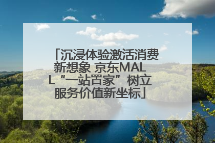 沉浸体验激活消费新想象 京东MALL“一站置家”树立服务价值新坐标