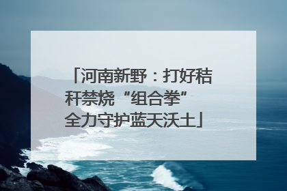 河南新野：打好秸秆禁烧“组合拳” 全力守护蓝天沃土