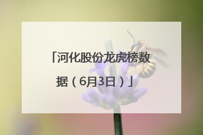 河化股份龙虎榜数据（6月3日）