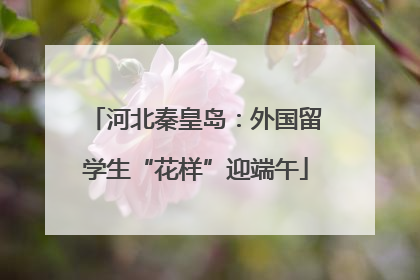 河北秦皇岛：外国留学生“花样”迎端午