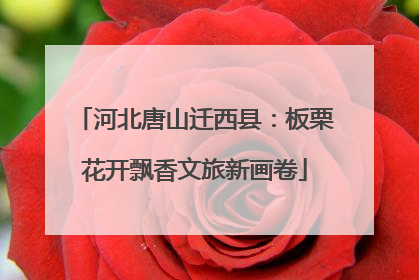 河北唐山迁西县：板栗花开飘香文旅新画卷