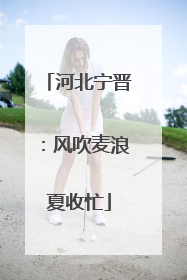 河北宁晋：风吹麦浪夏收忙