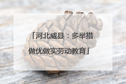 河北威县：多举措做优做实劳动教育