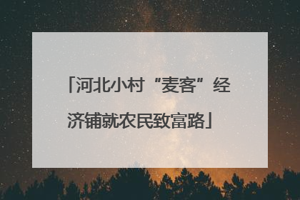 河北小村“麦客”经济铺就农民致富路