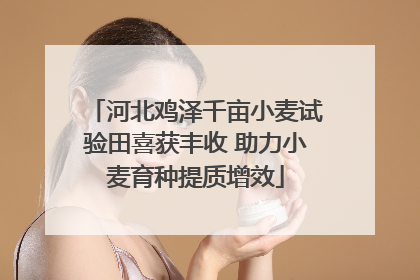 河北鸡泽千亩小麦试验田喜获丰收 助力小麦育种提质增效