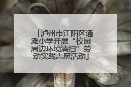 泸州市江阳区通滩小学开展“校园周边环境清扫”劳动实践志愿活动