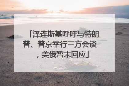 泽连斯基呼吁与特朗普、普京举行三方会谈，美俄暂未回应