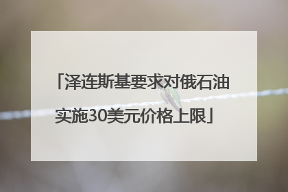 泽连斯基要求对俄石油实施30美元价格上限