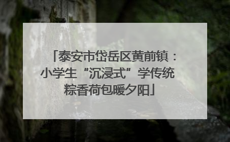 泰安市岱岳区黄前镇：小学生“沉浸式”学传统 粽香荷包暖夕阳