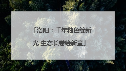 洛阳：千年釉色绽新光 生态长卷绘新章